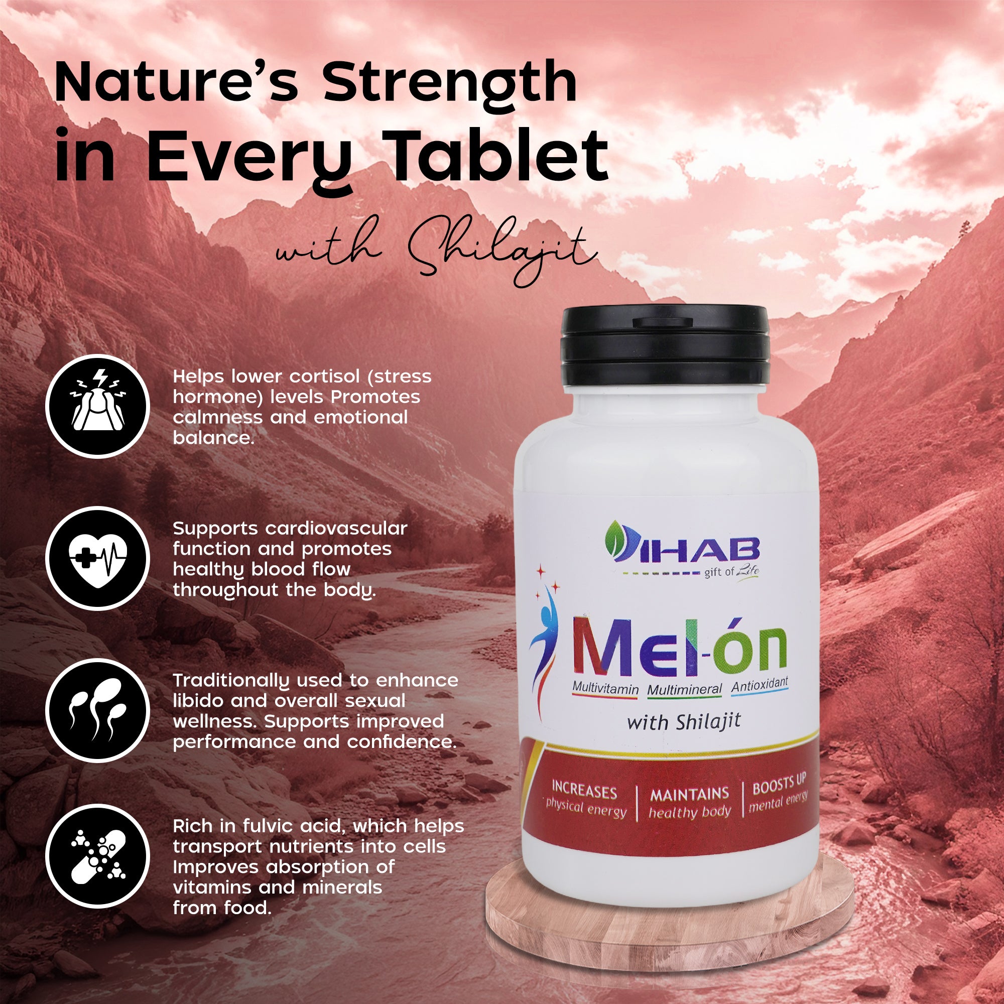 Melon Multivitamin Multimineral Antioxidant with Shilajit