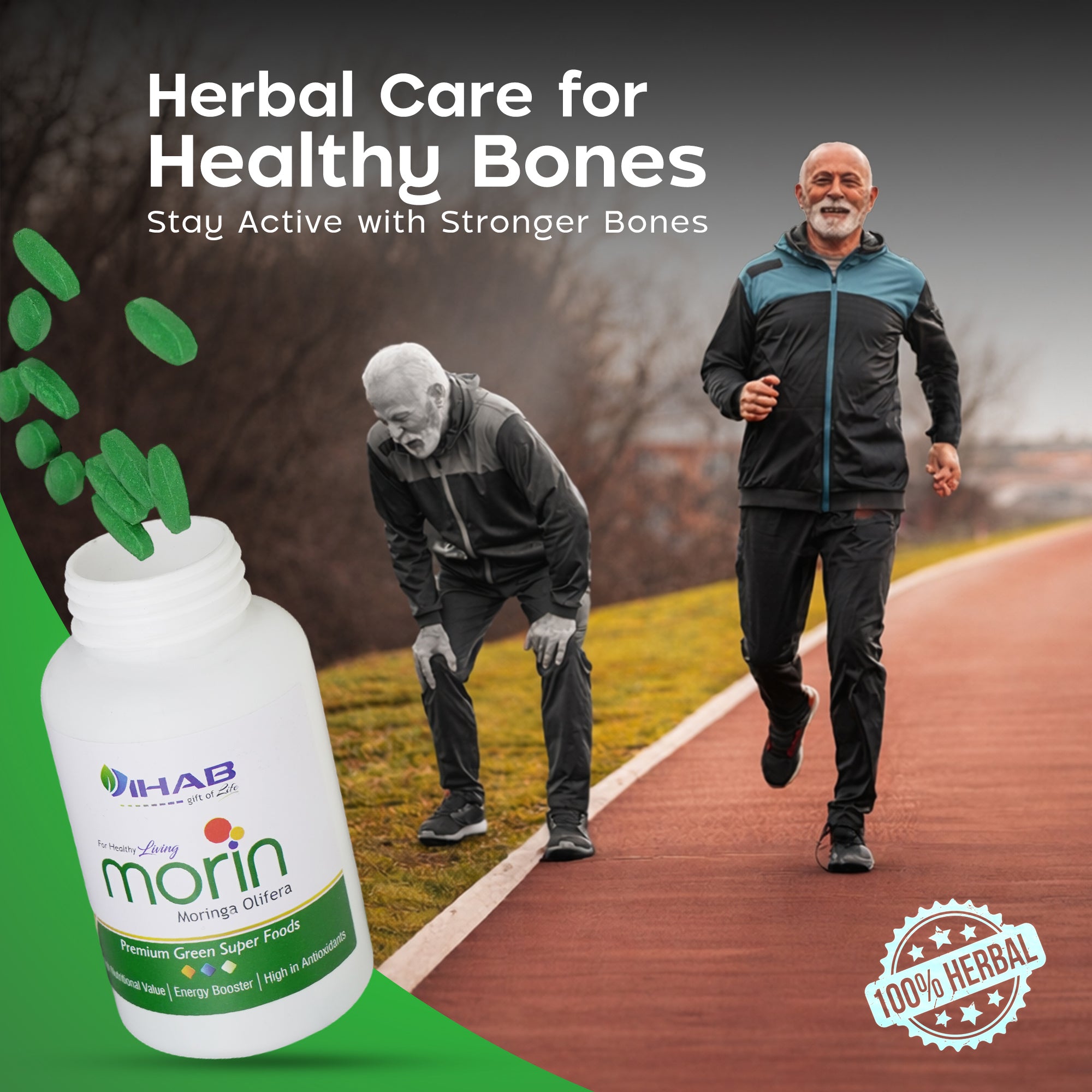 Morin Moringa Olifera Green Superfood Tablets