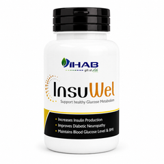 InsuWel